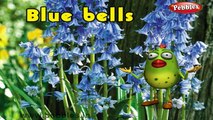Blue Bells Rhyme | 3D Nursery Rhymes With Lyrics For Kids | Flower Rhymes | 3D Rhymes Animation