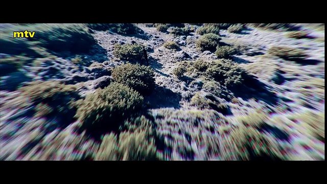 Γιώργος Τσαλίκης - Ανόητος _ Giorgos Tsalikis - Anoitos (Video clip)