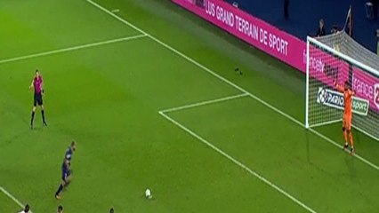 Lucas Goal Paris SG	1 - 0	Lille 14-12-2016