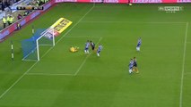 0-1 Mohamed Diamé Goal England  Championship - 14.12.2016 Wigan Athletic 0-1 Newcastle Utd