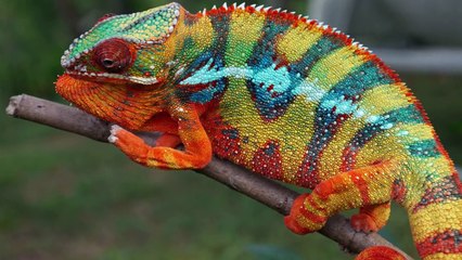 15 Lies You Still Think Are True