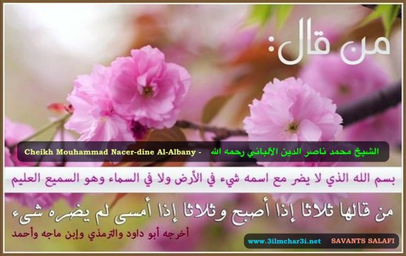 الشيخ محمد ناصر الدين الألباني رحمه الله