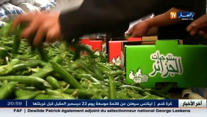 برلمان  مشروع قانون الجمارك..رفع البيروقراطية على تصدير المنتوج الوطني