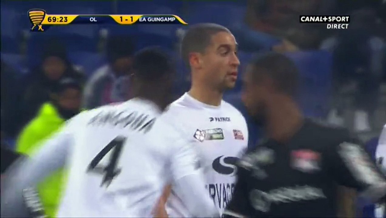 Nill De Pauw - Goal - Lyon	1-2 Guingamp 14.12.2016
