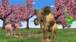 Animals Dragon,Gorilla,Bear,Tiger,Cheetah & Elephant Learning Sounds || 3D Animation Cartoon Rhymes