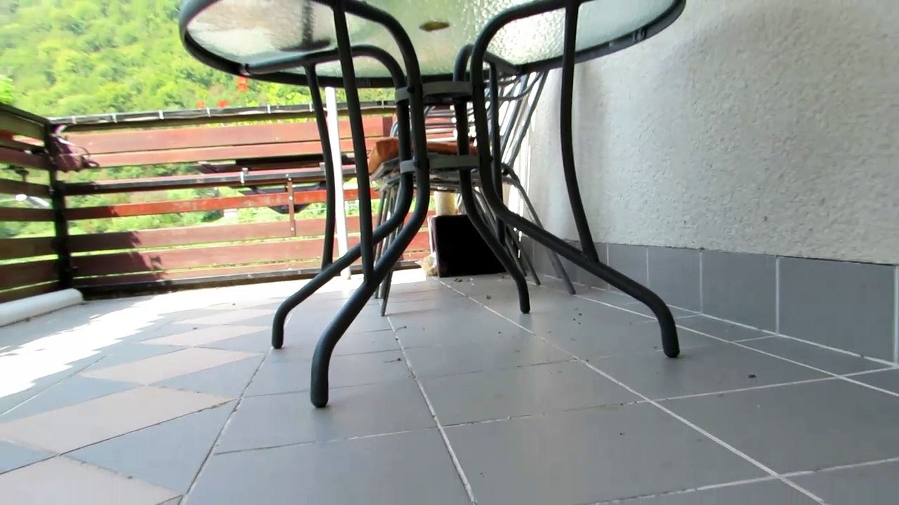 Funny cat and too small box