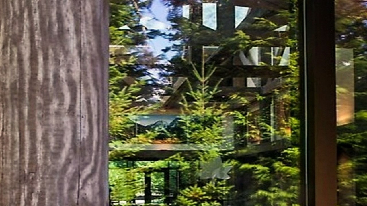 Window