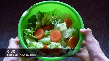 Daily Guinea Pig Routine   Spring 2015