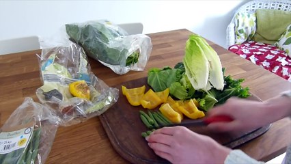 Daily Guinea Pig Routine   Spring 2016