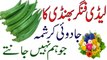 Lady Finger Benefits !! Bhindi Ke Faidy in Urdu بھنڈی کے فائدے