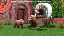 Bear Vs Horse Finger Family | Animals Finger Family For Cartoon Kids Rhymes