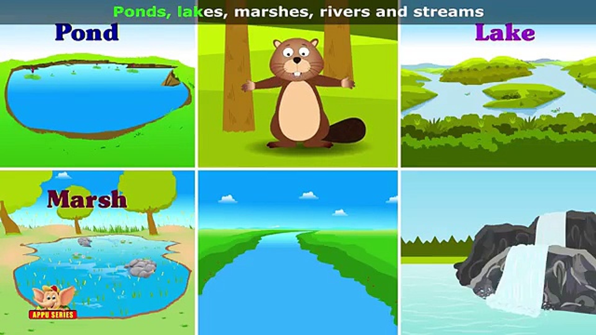Beaver - Animal Rhymes in Ultra HD (4K)