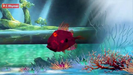 Fish Finger Family Song|3d Animated Nursery Rhyme|Famous Cartoon Rhyme|Baby Song.