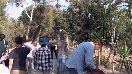 Shepherds' Fields, Where Angels Announced the Birth of Jesus - Israel Tour