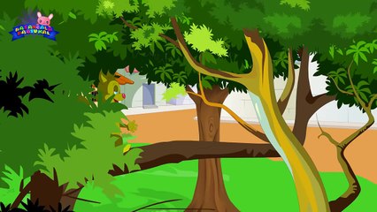 Anile Anile அணிலே அணிலே ஓடி வா | Tamil Nursery Rhymes | Pasangala Paatukal