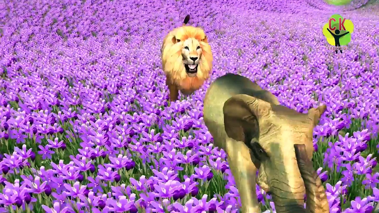 Pegasus Horse Finger Family Toddler Nursery Rhymes | Farm & Wild Animals Preschool Rhymes For Kids