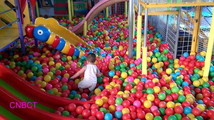 Rửa Mặt Như Mèo ♫ NHẠC THIẾU NHI  VUI NHỘN♫ Bé Chơi Nhà Bóng