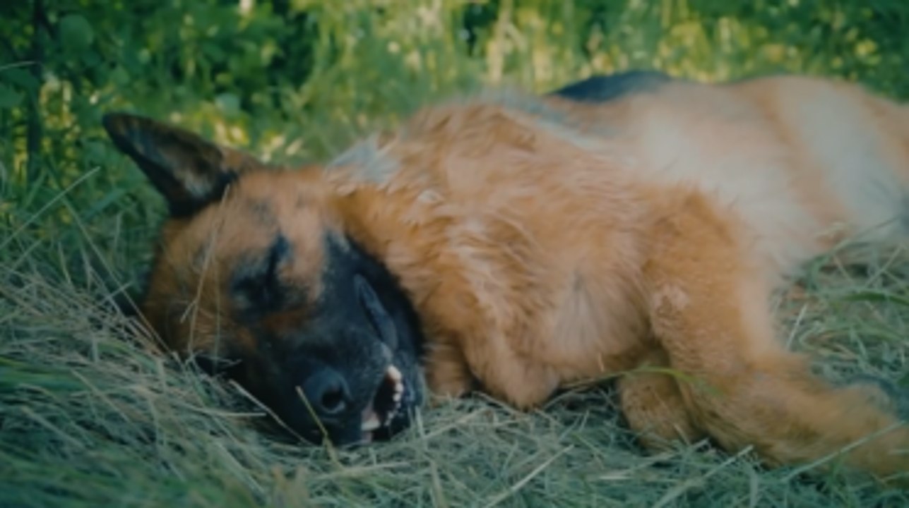 КОСТЯ HD