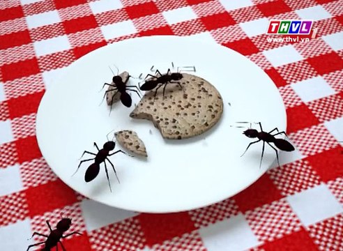 Phim hoạt hình Việt Nam - Cho Bạn Kiến Ăn