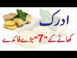 Adrak Khanay Ke 7 Fawaid in Urdu - Benefits of Ginger - Health and Beauty Tips