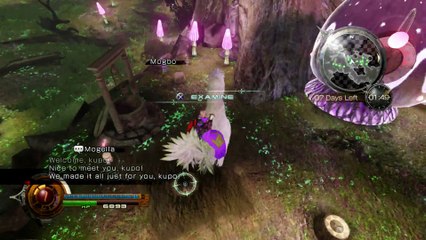 FINAL FANTASY LIGHTNING RETURNS HD HARD MODE (111) ASTER PROTOFLORIAN (LAST ONE) & VEGETABLE SEEDS