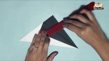 Arts and Crafts - Origami - Origami - Make a Penguin
