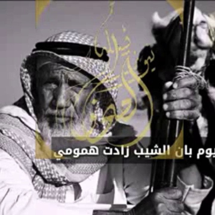 يوم بان الشيب