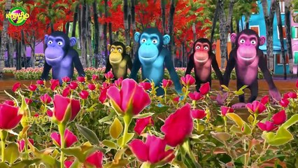 Finger Family Songs || Animal Finger Family Songs || Top 10 Animated Cartoons ||