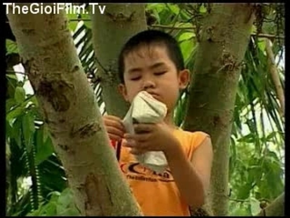 Thegioifilm.tv_viethuong_vcd2_chunk_1