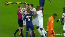 PSG vs Lille 3-1 ● Goals and Highlights ● Coupe de la Ligue 2016 HQ