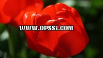 공덕키스방 / 김포휴게텔 / OPSS1。COM / 구글 → 오피쓰