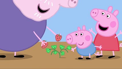 Peppa - Le Jardinage (Extrait Vidéo) Troisième Partie