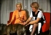 Леди развекаются с собакой woman playing with dog femme jouant avec un chien