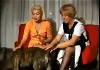 Леди развекаются с собакой woman playing with dog femme jouant avec un chien