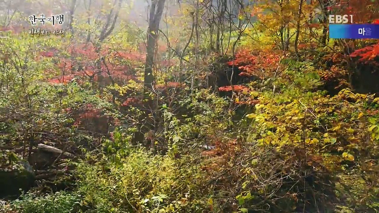 Wild Life-3-If you are a man. at least once-20161214