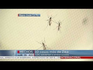 Confirma CDC 10 casos más de Zika en Miami