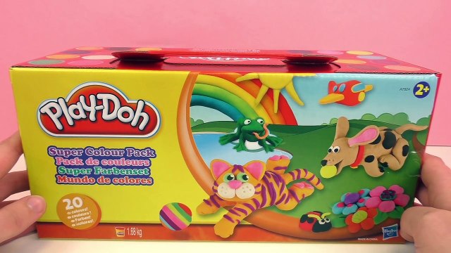 20 boîtes de pâte à modeler Play-Doh Pack de couleurs | Plus dun kilo de pâte à modeler |