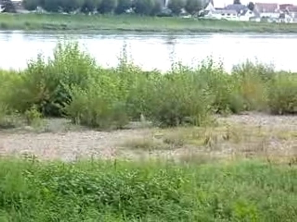 La Loire
