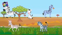 Finger Family Cartoons | Zebra Finger Family Rhymes | Nursery Rhymes for Children | Cartoon Rhymes