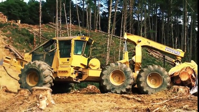 Extreme Heavy Machine Moving Tons of Trees Fast Trees Harvesting Head Tigercat Machines