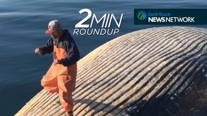 Humans behaving badly