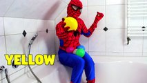 5 Colors Wet Balloons Spiderman In Real Life Learn Colours Balloon Finger Nursery Song