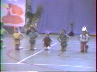 Les gaulois Sylviane