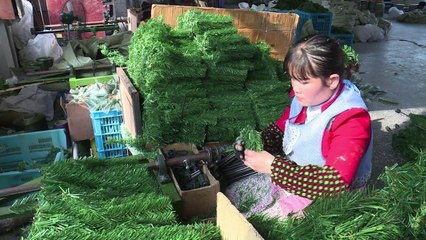 En Chine, "l'atelier du père Noël" tourne à plein régime