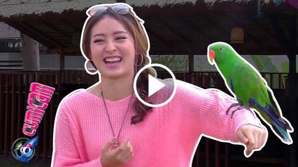 Tubuh Dihinggapi Burung, Wilona Kegelian - Cumicam 15 Desember 2016