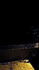 Strange sounds in Spokane Valley, WA Dec 14th 2016 3 am.