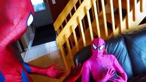 Pink Spidergirl Pregnant ؟ Spiderman & Frozen Anna in Real Life! Fun Superhero Movie IRL