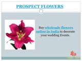 Best Wholesale Wedding Flowers Delivery in India | Prospect Flowers