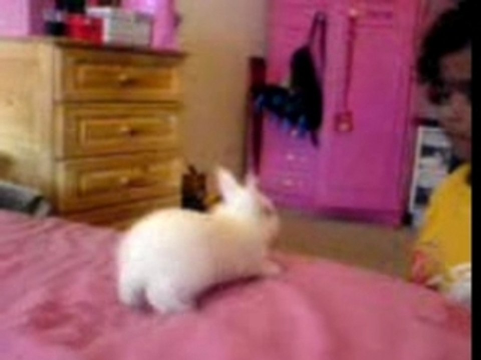 How Cute Is This :)