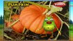 Pumpkin Rhyme | Nursery Rhymes With Lyrics For Kids | Vegetable Rhymes | Rhymes 3D Animation